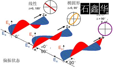 光的偏振